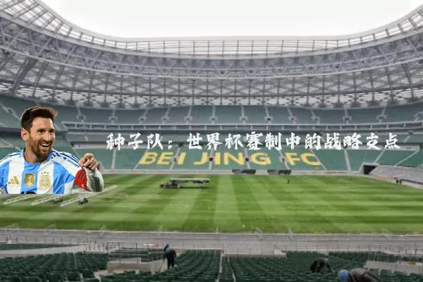 种子队:世界杯赛制中的战略支点